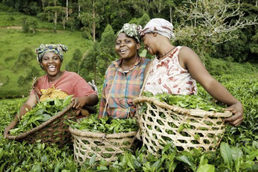 💚 Femmes, manioc & avenir durable : nos engagements chez Yummi